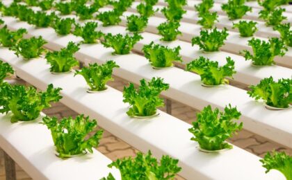 vertical hydroponic farming solution